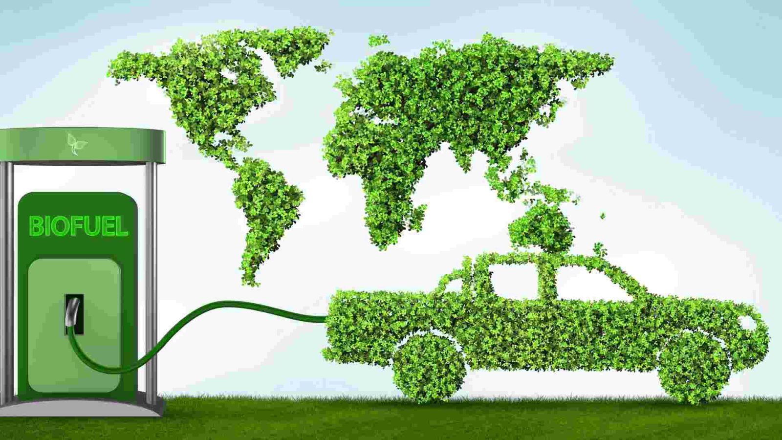 Tất tần tật về loại xăng E10